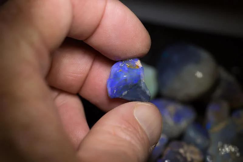 Thumb 5