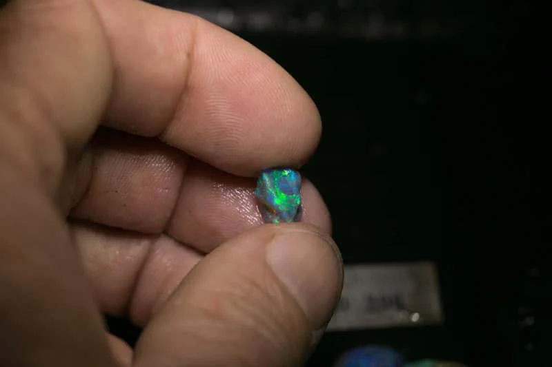 Thumb 5