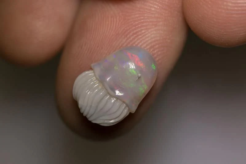 Thumb 2
